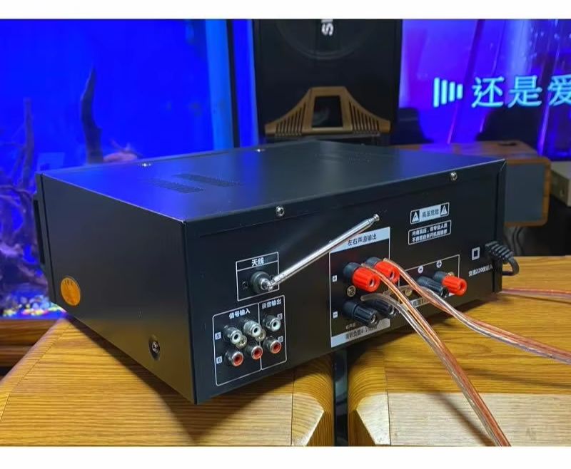 Outdoor Power Amplifier - High-Power Household Power Amplifier, 12V/220V Dual-Use