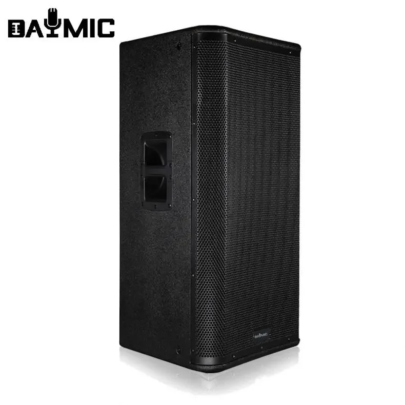 Professional Hot Sell 15 Inch  - Outdoor Power Amplifier 리뷰 및 가격